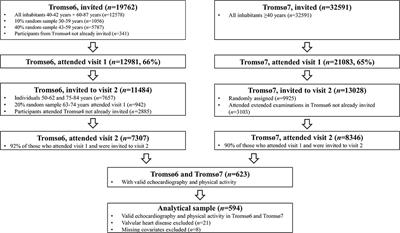 Longitudinal Associations Between Cumulative Physical Activity and Change in Structure and Function of the Left Side of the Heart: The Tromsø Study 2007–2016